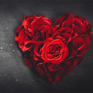 il cuore e l’ombra